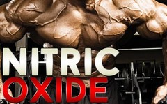 NITRIC OXIDE POWER – Muscle Growth – athletic Endurance & Recovery 2400mg 2B