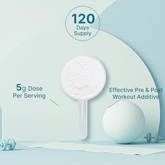 Creatine Monohydrate Powder 5g 120 Servings Micronized Unflavored