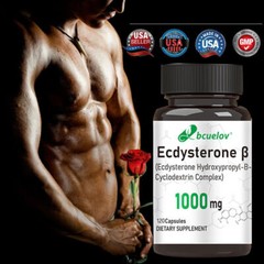 Ecdysterone Capsules High Dose – 1000mg SS Ecdysterone