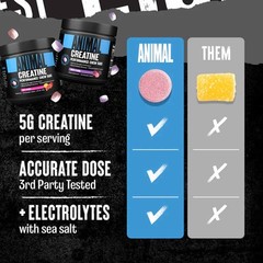 Universal Nutrition Animal Creatine Chews – 120 Tablets