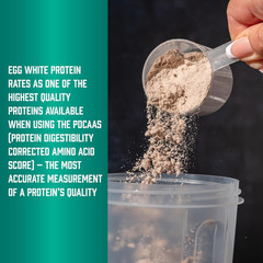 NOW Sports Nutrition, Egg White Protein, 20 G with Bcaas, Creamy Vanilla Powder,