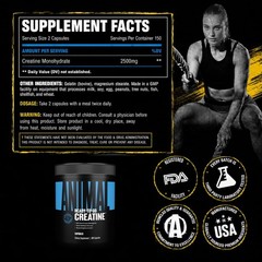 Micronized Creatine Monohydrate Capsules – 300 Caps, 2500mg per Serving to Su…