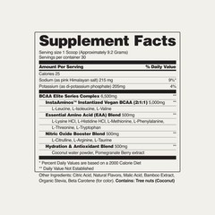 BCAA Amino Energy Powder Nitric Oxide Booster, Pre Workout, Recovery – 2 Flavors