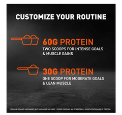 Body Fortress Super Advanced Whey Isolate Chocolate 1.5lb 60g Protein