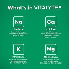 Vitalyte Electrolyte Powder Drink Mix Bundle, Pouch + Packets, Watermelon Flavor