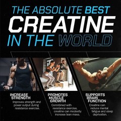 Muscle Feast Creapure Creatine Monohydrate Powder Keto Gluten-Free 300G