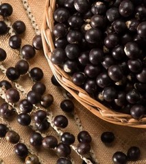 Boost Your Workout with ACAI BERRY EXTRACT – 2B 120 Caps