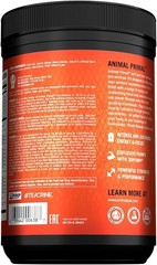 Animal Primal Pre Workout Powder Hydration Energy Focus Endurance Beta Alanine