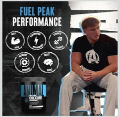 Animal 100% Pure Creatine Monohydrate Powder, Unflavored, 10.58 oz (300 g)