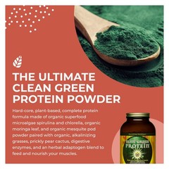 HealthForce SuperFoods Elite Green Protein Mesquite 500g Powder