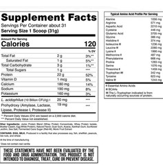 Molk Protein Powder – Vanilla Milkshake (28 Servings)