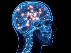 Dopamine supplements – L-DOPA MUCUNA EXTRACT 99% 350mg – serotonin power diet