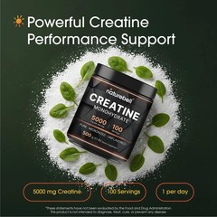 NatureBell Micronized Creatine Monohydrate Powder – 1.1 Pound (Pack of 1)