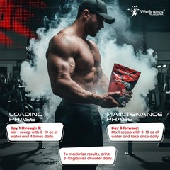 WELLNESS LABSRX Creatine Monohydrate Powder 500g – 100 Servings Micronized Cr…