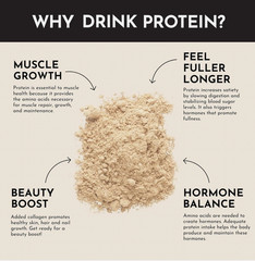 Just Ingredients Vanilla Protein Powder | 22g Protein 15 Servings Grass-Fed Whey