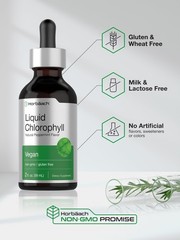 Horbäach Liquid Chlorophyll Drops | 2 oz | Vegan, 2 Ounce (Pack of 1)