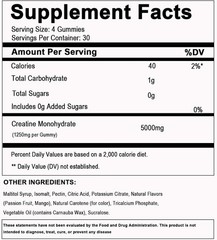 Creatine Monohydrate Gummies 5000mg Sugar Free Vegan Pre Workout 120 Count