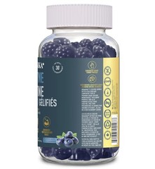 Organika Creatine Monohydrate Gummies 2 Bottles 180 Count Blueberry