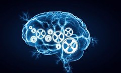 Griffonia Extract – L-5-HTP 377mg – Can Help Reduce Appetite Relaxation – 3 Bot