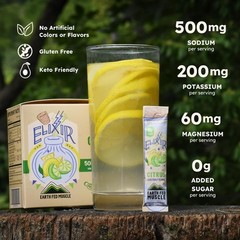 Earth Fed Muscle Elixir Electrolyte Powder 3.49 Ounce (Pack of 1), Green