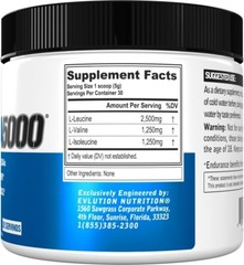 Evlution EVL BCAAs Amino Acids – Stim Free Pre-Workout – 30 Servings Unflavored