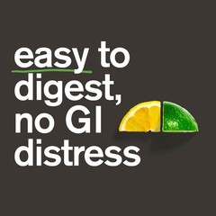 Sustained Energy Hydration Drink – High-Carb Lemon Lime Powder, 8 Servings