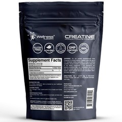WELLNESS LABSRX Creatine Monohydrate Powder Sachets 300g – Peach Flavor Micro…