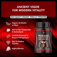 TRIBULUS TERRESTRIS 96% SAPONINS EXTRACT BODY BUILD TESTOSTERON BOOST AID 3X