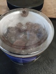 2X happyummmm creatine Monohydrate gummies 120 Gummies Grape Flavor