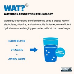 Waterboy – Daily Hydration, Blue Raspberry, Sugar Free 1.75 Ounce (Pack of 1)