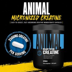 Micronized Creatine Monohydrate Capsules – 300 Caps, 2500mg per Serving to Su…