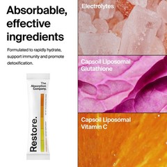 The Absorption Company Electrolyte Powder Packets – Workout Recovery Hydration