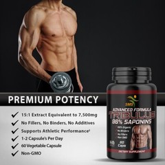 TRIBULUS TERRESTRIS 96% SAPONINS FITNESS SUPPLEMENT 2000mg DAILY NON GMO