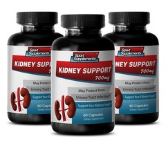 kidney health formula – KIDNEY SUPPORT 700MG – natural anti inflammatory 3B