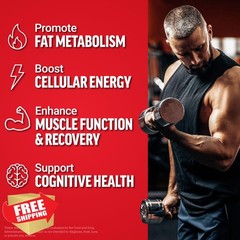 Force Factor L-Carnitine Bombsicle 16fl oz