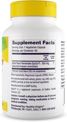 Healthy Immune Support Multivitamin Supplement (60 Caps)