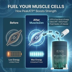 Zenos Health MuscleZen Muscle Builder for Men – ATP Supplements for Strength …