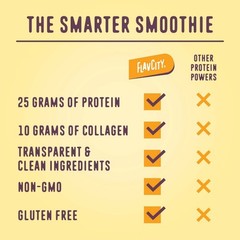 Protein Smoothie Powder – 10 Servings – Vanilla Cream – 430gms