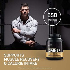 Optimum Nutrition, Pro Gainer Protein Powder, 5.09lb