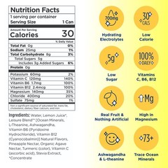 Leisure Hydration Non-Carbonated Electrolyte Refresher,Lemonade Flavor-Low Sugar