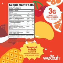 Wellah Creatine + Hydration Powder (Fruit Punch) 30 Servings – Drink Mix