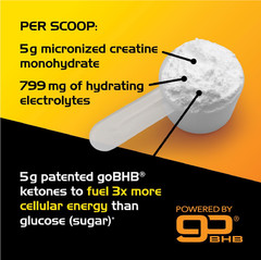 Micronized Creatine Monohydrate Powder – Stim Free Pre Workout with Creatine 5g