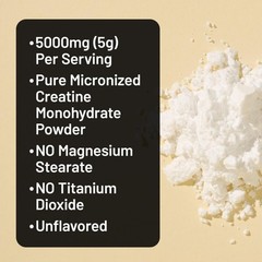 Micronized Creatine Monohydrate Powder, 5000mg (5g) Per Serving – Creatine fo…