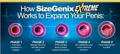 SizeGenix 60 Tabs Mens Health Supplement For Enlargement Size Free Shipping