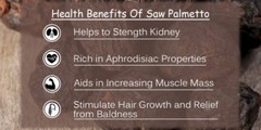 Prostate supplements for men – SAW PALMETTO 500mg – Hair Loss Treatment – 2 Bot