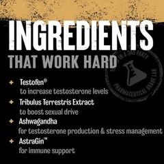 Animal TNT+ – Mens Support, Prostate 30 Count (Pack of 1), Brown