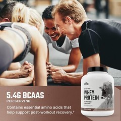Levels Chocolate Mocha Whey Protein Powder 71 Servings 24g Protein per Scoop