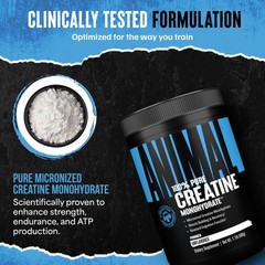 Creatine Monohydrate Powder – Micronized Creatine for Women and Men, Supports…
