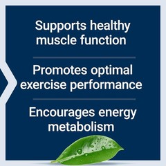 Creatine Monohydrate 120 Capsules – Boosts Strength, Endurance & Muscle Health