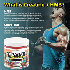 Creatine Monohydrate Gummies HMB Supplements for Men – Creatine and HMB Suppleme